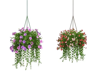 Colorful Hanging Basket Plants With Purple Red Flowers And Trailing Foliage 3d model