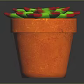 Vibrant Succulent Plant With Green Leaves Red Edges In Orange Terracotta Pot