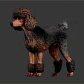 Detailed Brown Poodle Sculpture With Curly Fur And Standing Posture On Dark Background