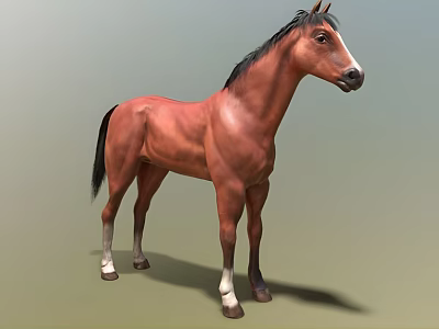 Brown Horse With Black Mane Tail And White Hooves Standing On Green Background 3d model