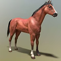 Brown Horse With Black Mane Tail And White Hooves Standing On Green Background