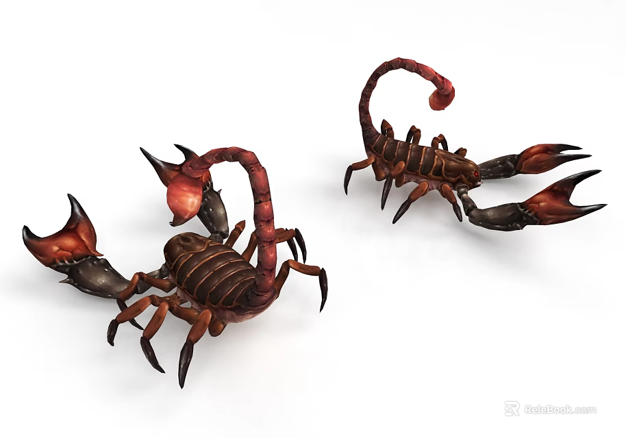 Two Red And Black Scorpion Reptiles With Curled Tails And Raised Claws 3d model 