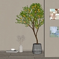 Green Plant Potted Lemon Tree Landscape Tree Potted Plant 3d model