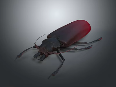 Close Up View Of Red Brown Reptile With Long Limbs Detailed Body Structure 3d model
