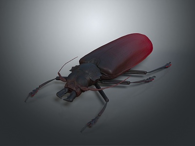 Insect Animal Game Animal Cartoon Animal Realistic Animal Realistic 3d model