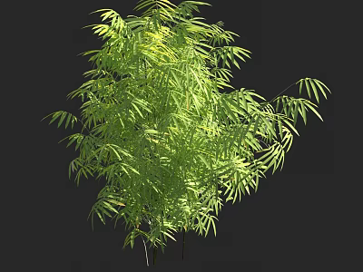 Tall Arbor With Lush Green Foliage And Sunlit Leaves In Natural Scene 3d model