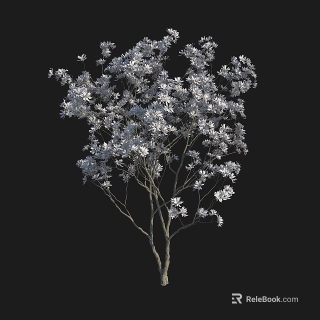 Ornamental Arbor Tree With Dense Silver White Blossoms And Slender Trunk 3d model