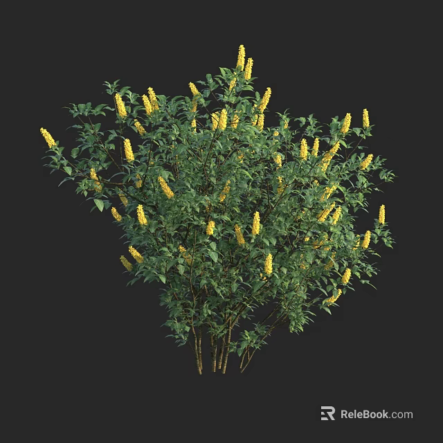 Lush Green Leaf Shrub With Vibrant Yellow Flowers On Black Background 3d model 
