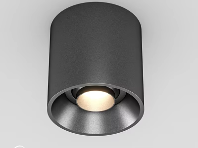 Modern Black Cylindrical Ceiling Light with Illuminated Center and Sleek Design 3d model