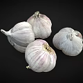 Fresh Whole Garlic Bulbs With Purple And White Papery Skin