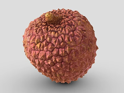 Reddish Brown Lychee Fruit With Rough Bumpy Surface And Small Stem 3d model