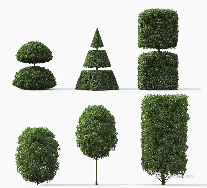 Various Shaped Trimmed Garden Bushes for Creative Landscaping Design Ideas 3d model