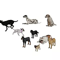 Various Dog Breeds In Different Poses Standing Sitting Lying On White Background