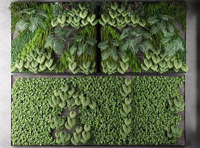 Modern Plant Wall Plant Green Plant Green Plant Wall Flowers and Plants Wall Frame Combination 3d model