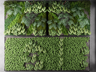 Modern Plant Wall Plant Green Plant Green Plant Wall Flowers and Plants Wall Frame Combination 3d model