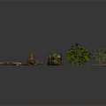 Various Natural Wood And Stone Samples With Green Plants Collection