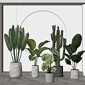 Stylish Indoor Potted Plants With Diverse Leaf Shapes And Decorative Planters