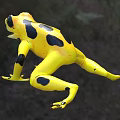 Ze'spotted toad Panamanian frog Bufo 3d model