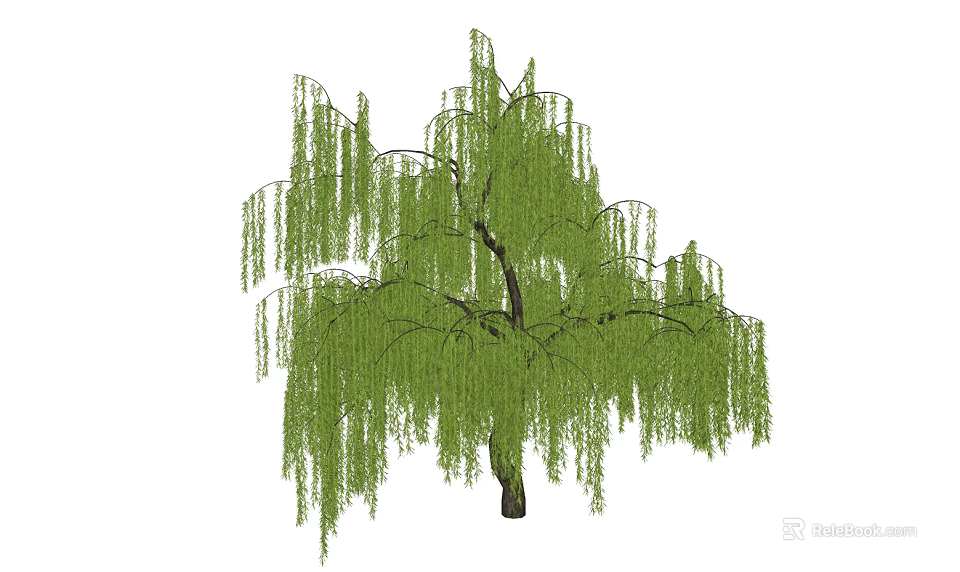Elegant Weeping Willow Arbor Tree Featuring Long Drooping Branches and Green Foliage 3d model 