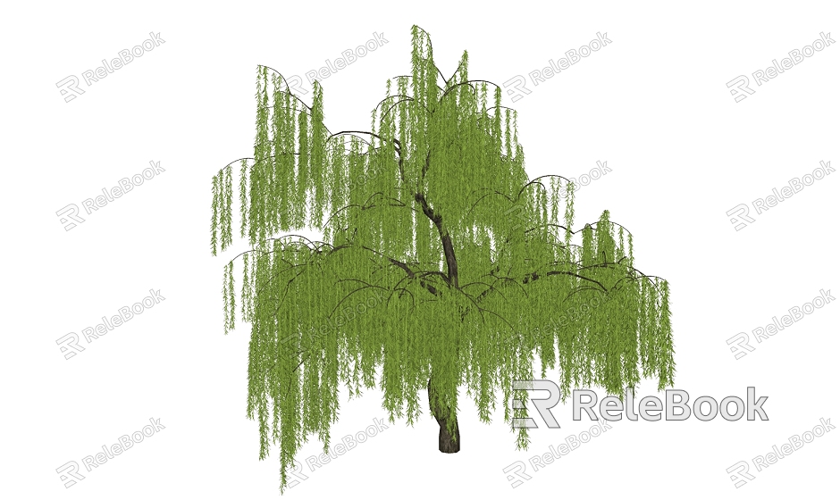 Modern Willow Trees model