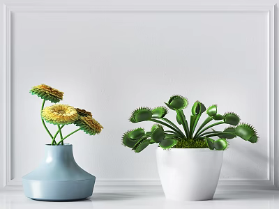 Light Blue Vase With Yellow Flowers And White Pot Venus Flytrap On White Framed Wall 3d model