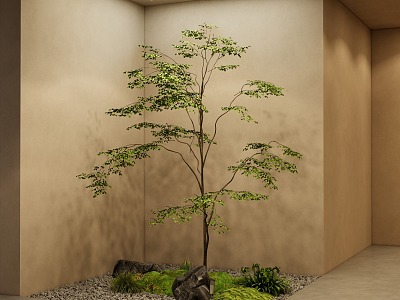 Modern courtyard landscape courtyard sketch green plant landscaping model