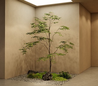 Modern courtyard landscape courtyard sketch green plant landscaping 3d model