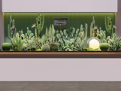 Varied Potted Cactus And Succulent Plants On Green Tiled Wall Display Shelf With Decorative Lighting 3d model