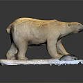 Detailed Polar Bear Figurine Standing On White Base With Naturalistic Pose