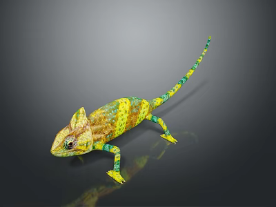 Colorful Chameleon Reptile With Yellow Green Brown Spotted Skin Long Tail On Dark Reflective Background 3d model