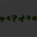 Green Trees With Different Shapes And Sizes Arranged In A Row On Grey Background