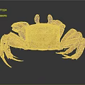 Vibrant Red Crab With Detailed Claws And Long Legs On Shiny Surface