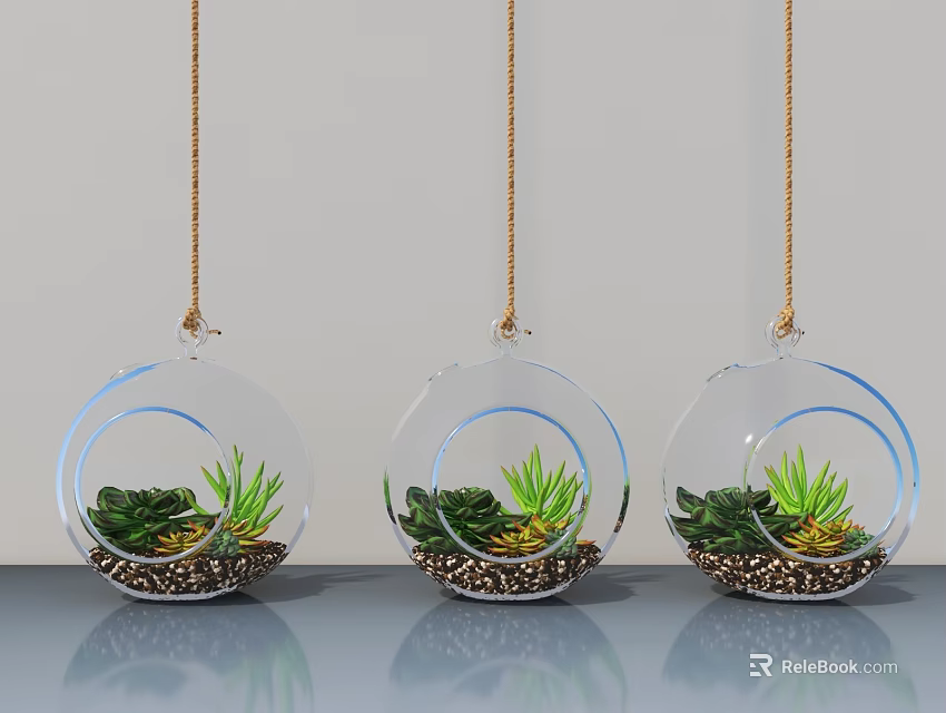 Modern Transparent Spherical Hanging Planters With Succulents And Gold Chains 3d model 