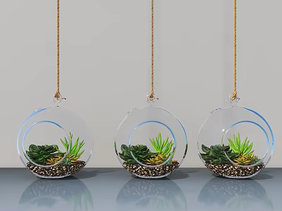 Modern Transparent Spherical Hanging Planters With Succulents And Gold Chains 3d model