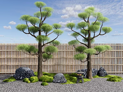 Tall Pine Trees in a Traditional Garden with Bamboo Fence Stones Moss and Lantern 3d model