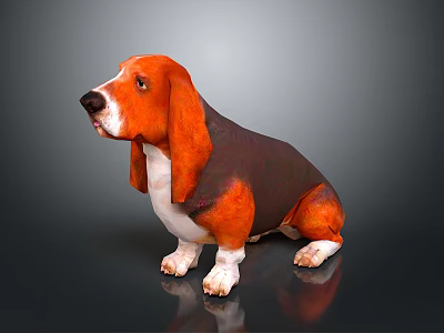 Basset Hound Dog With Orange Brown And Black Coat Sitting On Dark Background 3d model