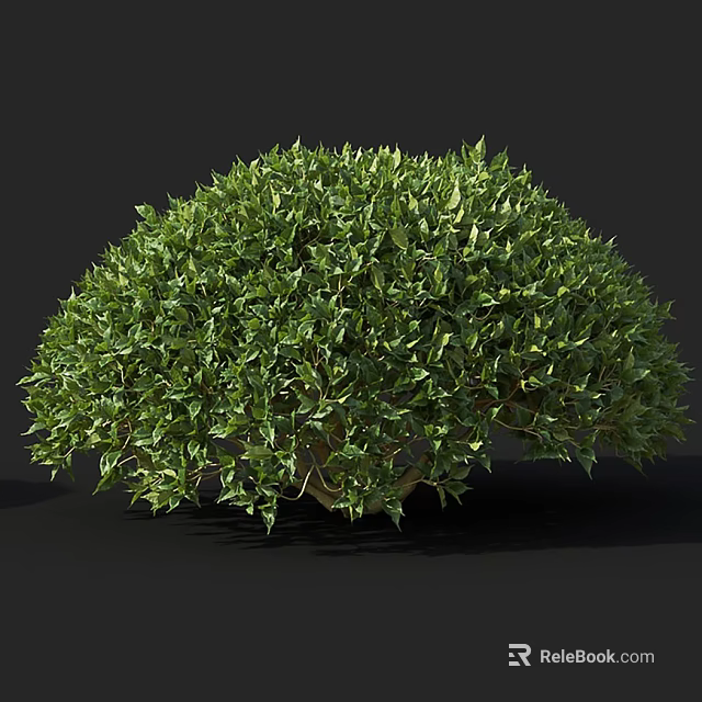Lush Green Tree with Rounded Canopy and Dense Foliage Against Dark Background 3d model