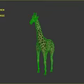 Realistic Giraffe With Long Neck And Spotted Coat Standing On Gray Background