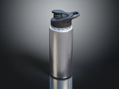 Silver Stainless Steel Water Bottle With Black Lid Handle And Sleek Design For Daily Use 3d model