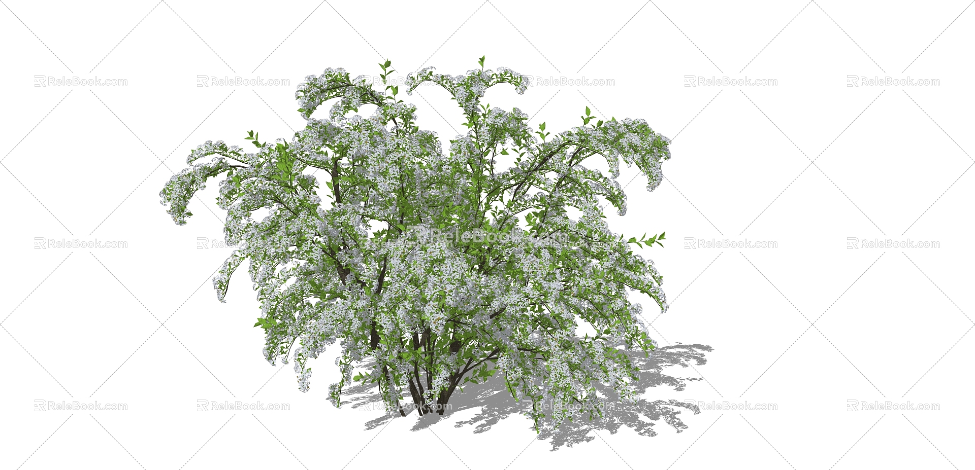 Snow Willow Flower Border Plants 3d model