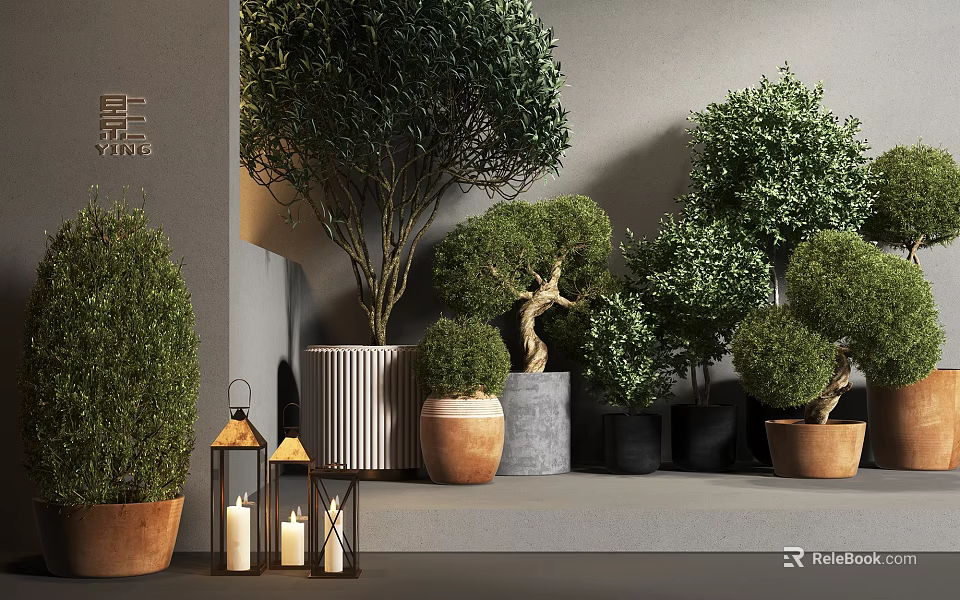 Bonsai Potted Plants With Various Species In Clay Ceramic Cement Pots Indoor 3d model 