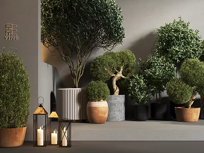 Bonsai Potted Plants With Various Species In Clay Ceramic Cement Pots Indoor 3d model