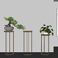 Modern Plant Stands With Wooden Top And Metal Frame Holding Potted Plants And Wall Art