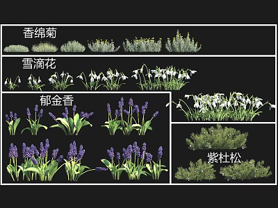 Colorful Garden Flowers Including Chrysanthemum Snowdrop Tulip And Purple Juniper 3d model