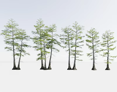 Arbor Trees With Lush Green Foliage And Distinct Trunks In Natural Growth Forms 3d model