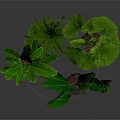 Large Leaf Tropical Plants in Metallic Silver Pots for Indoor Decoration