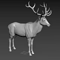 Silver Standing Deer Sculpture With Large Antlers And Realistic Texture Design