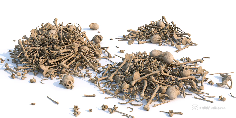Professional Medical Devices Including Anatomical Skeleton And Bone Models For Education 3d model 