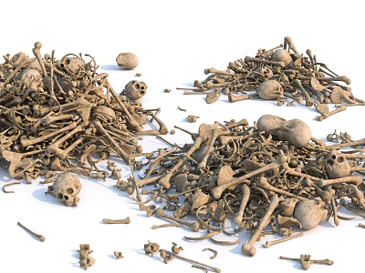 Professional Medical Devices Including Anatomical Skeleton And Bone Models For Education 3d model