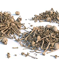 Professional Medical Devices Including Anatomical Skeleton And Bone Models For Education